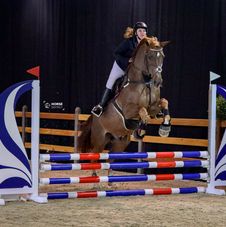 FLANDERS HORSE EXPO (DON)